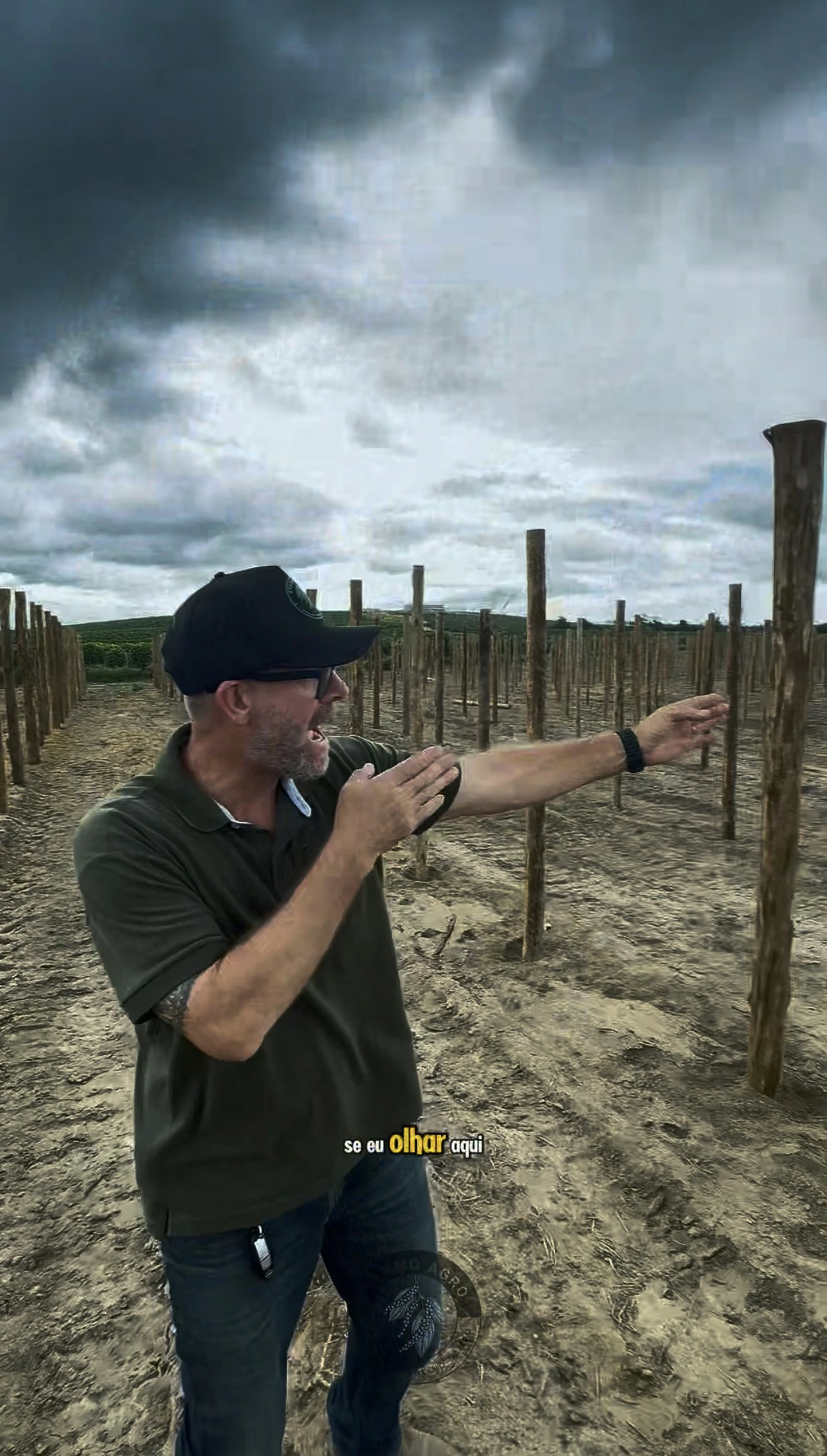 Experiência prática da Erasmo Agro no campo — imagem 26 de 38